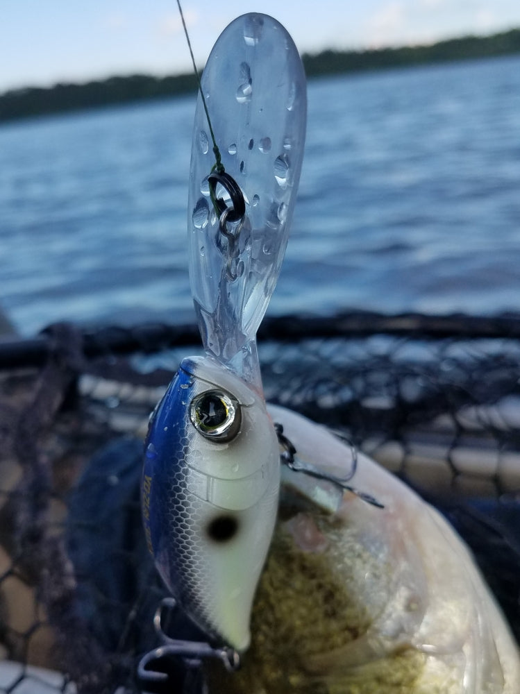 Yo Zuri 3D Crystal Minnow Fishing Lures